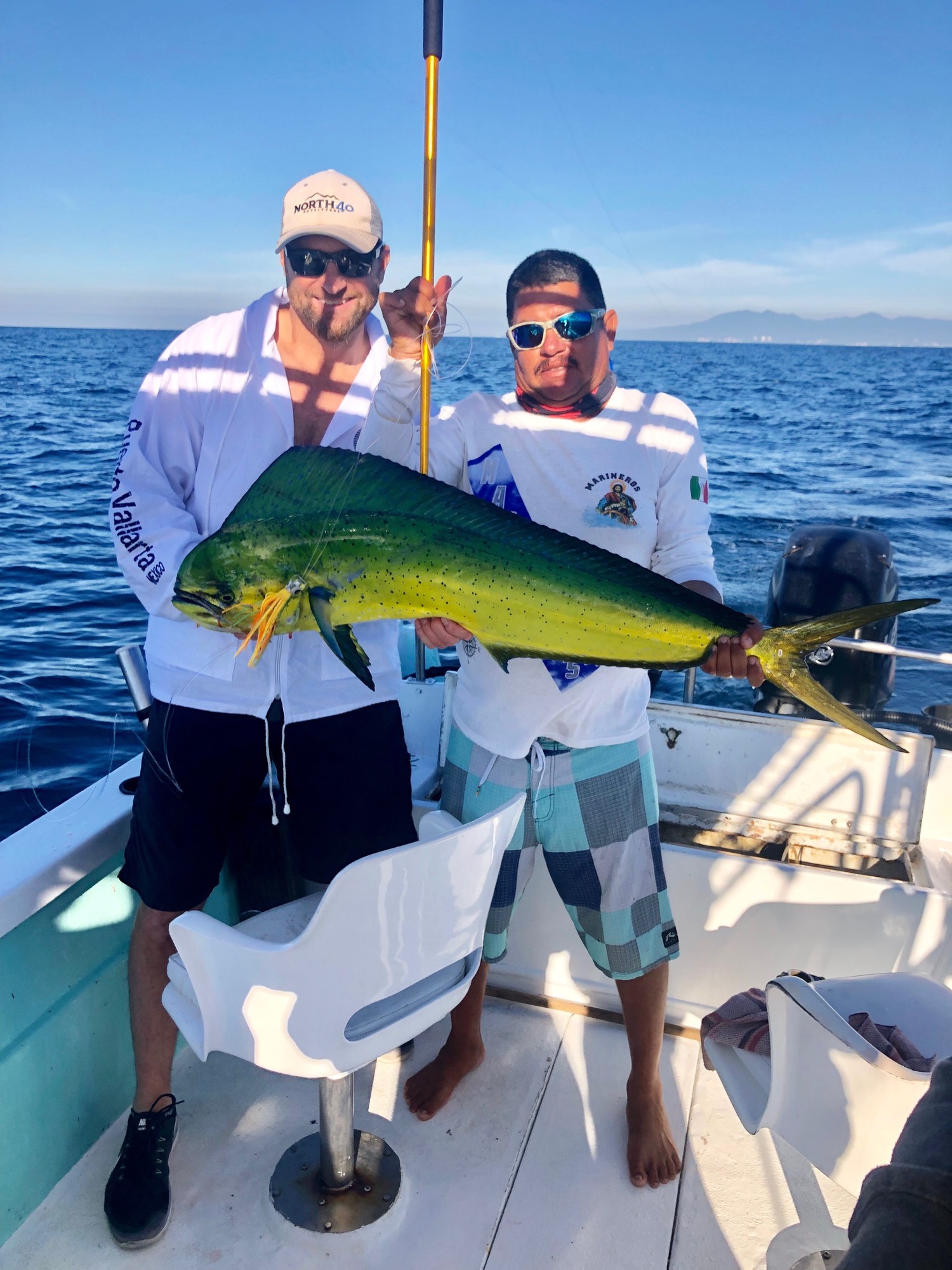 Dolphin Fish Mounts & Replicas by CoasttoCoast Fish Mounts